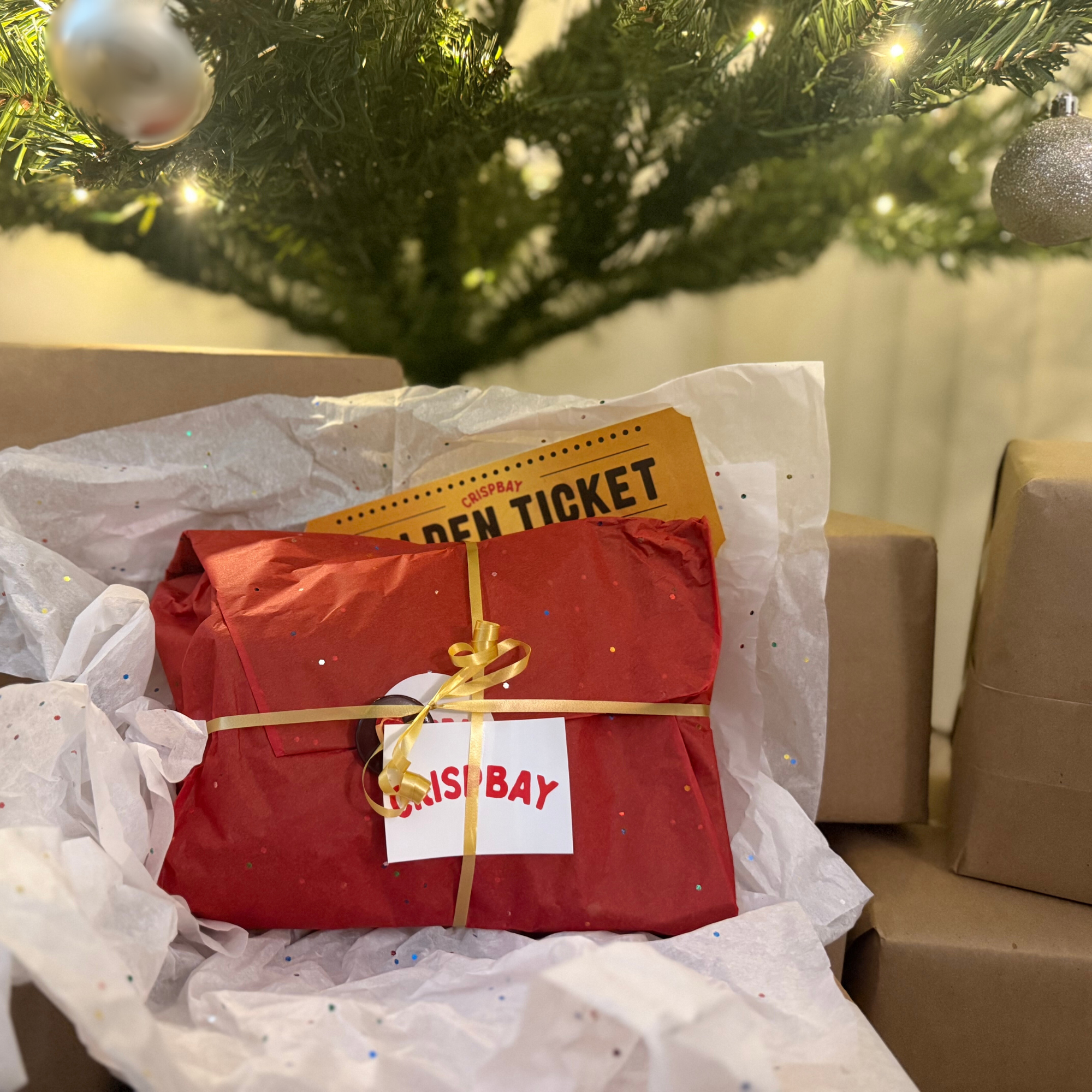 CRISPBAY Beef Chips Variety Pack